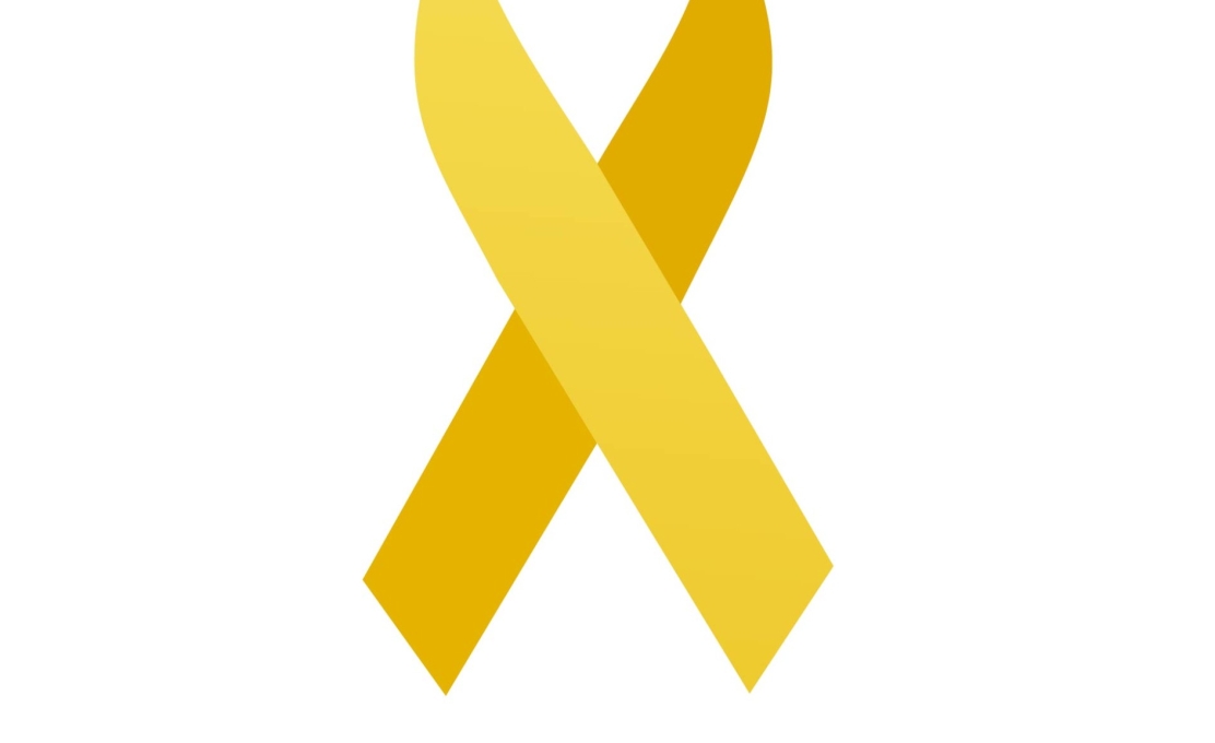 MAIO AMARELO: 