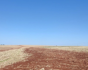 521997967181257584474597624961125551466210080n.jpg