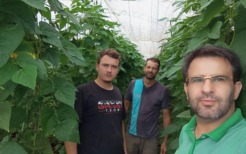 Fazendo visita técnica ao produto rural, na cultura de vagens para merenda escolar e demais mercados.